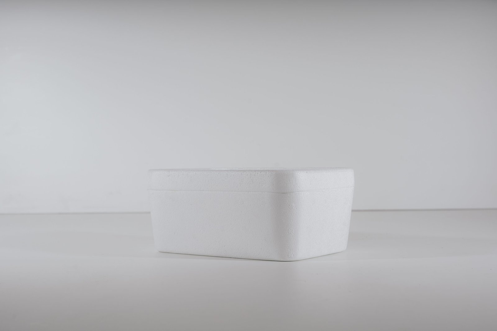 BANDEJA 1 LITRO X 120 Und. - 120 unid - Image 2